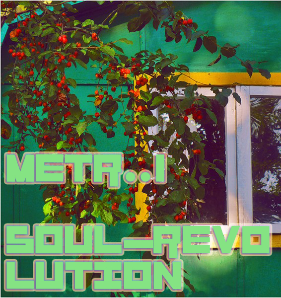Файл:metr..1 - Soul-Revolution.jpg