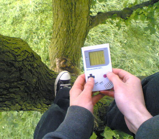 Файл:arcadecoma. - The Game Boy Tree Adventures.jpg