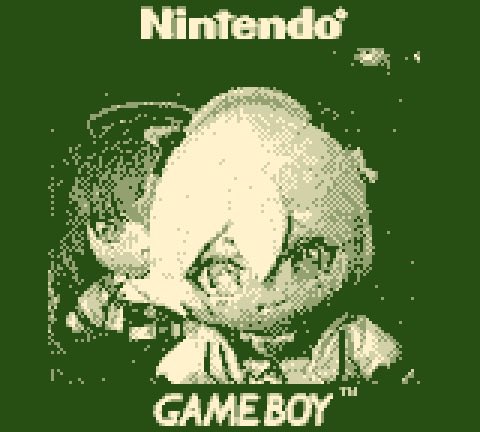 Файл:gbcamera - photo 5.jpg