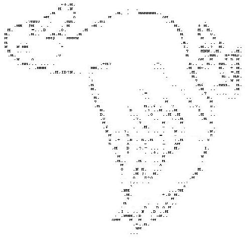 Файл:Kittenrock Duck Compilation.jpg