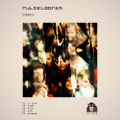 Pulselooper - S I N A P S E back.jpg