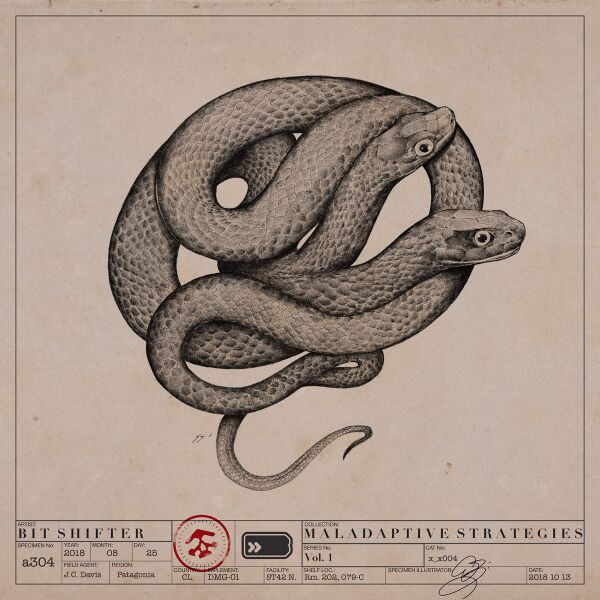 Файл:Bit Shifter - Maladaptive Strategies Vol. 1.jpg