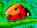 Ladybug by kubikami.png