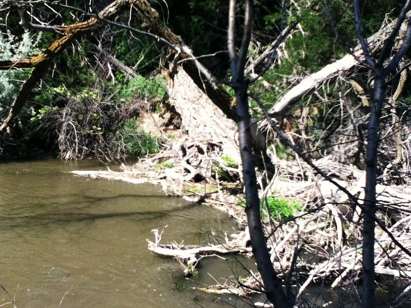 Файл:Nice Chiptunes In Nice Places 9.jpg