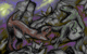 Dinosaur War by Leon.gif