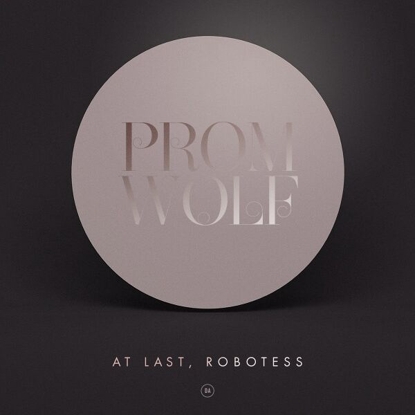 Файл:Promwolf - At Last Robotess.jpg