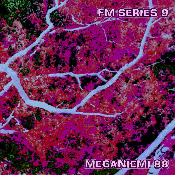 Файл:Tomy - FM Series 9 Meganiemi 88.jpg