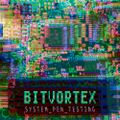 BITVORTEX - System Pen Testing.jpg