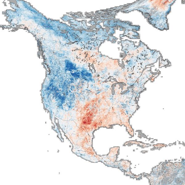 Файл:Forest World - Delete Forever.jpg