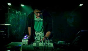 Kitty On My Head.jpg